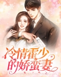 霍少暖妻狠撩人小说免费阅读