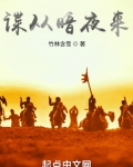谍从暗夜来 小说