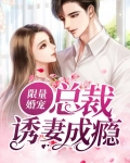 限量婚宠：总裁诱妻成瘾