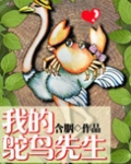 我的鸵鸟先生