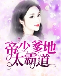 帝少爹地太霸道