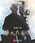 华流大导演小说