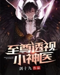 至尊透视小神医
