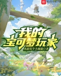 我的宝可梦玩家免费阅读