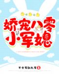 嫁给二婚军婚大叔的小说推荐