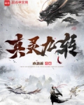 真灵九变等级划分