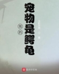 我的宠物是鳄龟 五彩贝壳英语