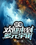 多元宇宙的异位面来客40章