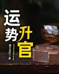 运势为官小说