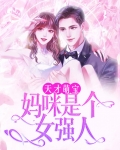 天才萌宝妈咪是个女强人电视剧