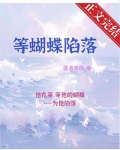 心动陷落娱乐圈小说