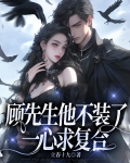 顾先生求不约全文阅读