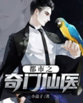 都市之奇门仙医 小说