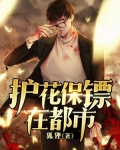 护花保镖在都市