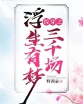 综穿之浮生有梦三千场TXT