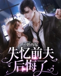 二婚再嫁男神