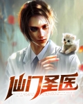 仙门医仙的书
