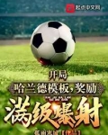 哈兰德贴吧