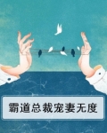 霸道总裁宠妻无度的电视剧