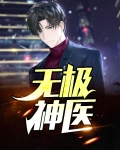 无极神医叶风云全文免费阅读