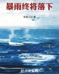 暴雨终将落下