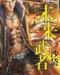 未来武者完本小说