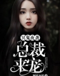 小说恶魔总裁夜来袭