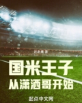 国米王子从潇洒哥开始新笔趣阁