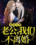 重回九零:老公,我们不离婚