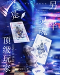 另一半灵魂是顶级玩家[无限]免费笔趣阁