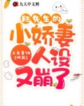 陆先生的小娇妻人设又崩了