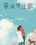 等风吻你短剧大结局
