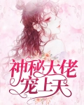 闪婚后我被神秘大佬宠上天免费阅读