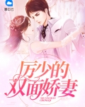 厉少双胞胎