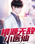 桃源无敌小医仙