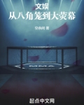 文娱:从八角笼到大荧幕TXT下载