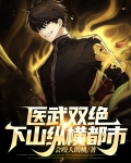医武双绝：下山纵横都市