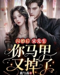闪婚甜妻宋唯一