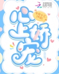 心上娇宠晋江