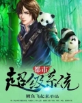透视乡村小神医凌风