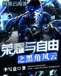 荣耀与自由之黑角风云