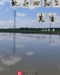 玩命的教书先生