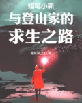 蜡笔小新与登山家的求生之路