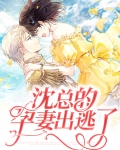 沈总的孕妻出逃了