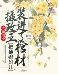 摄政王大婚后走路带风小说