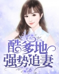 酷爹地强势追妻