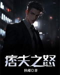 痞夫之怒小说