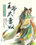 王爷宠妻太过分 小说