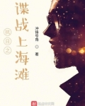 谍战上海滩原著在线阅读
