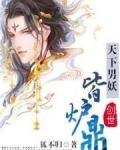 天下男妖皆炉鼎狐不归